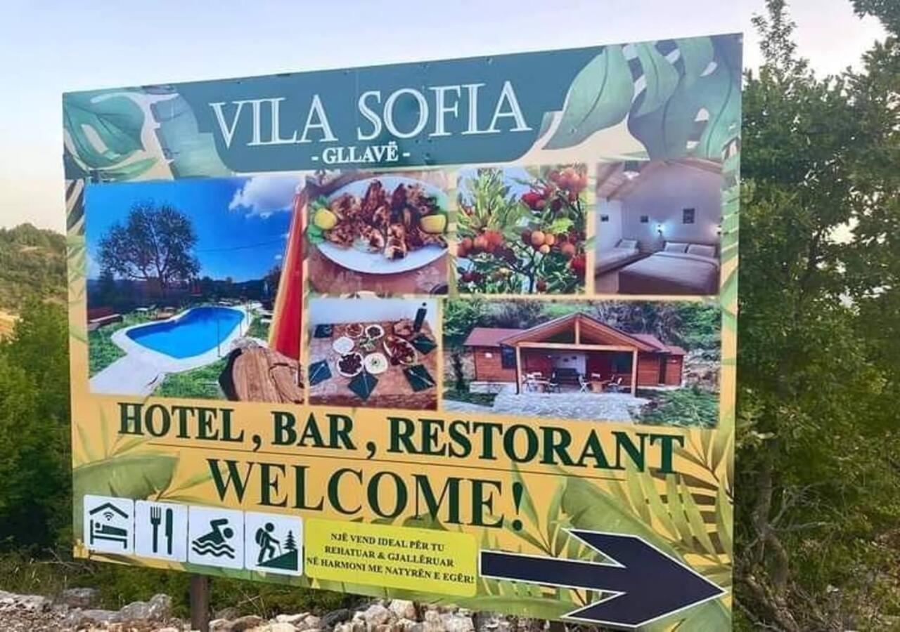 Guest house Sofia Gllava - *