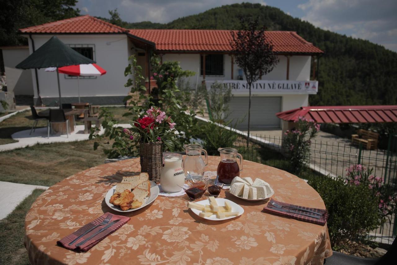 Guest house Sofia Gllava -