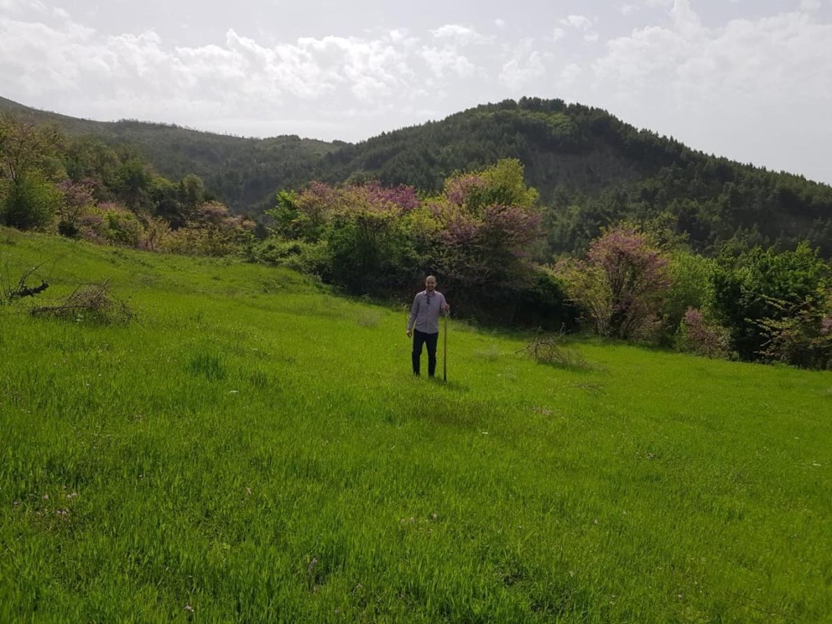 Guest house Sofia Gllava - Memaliaj