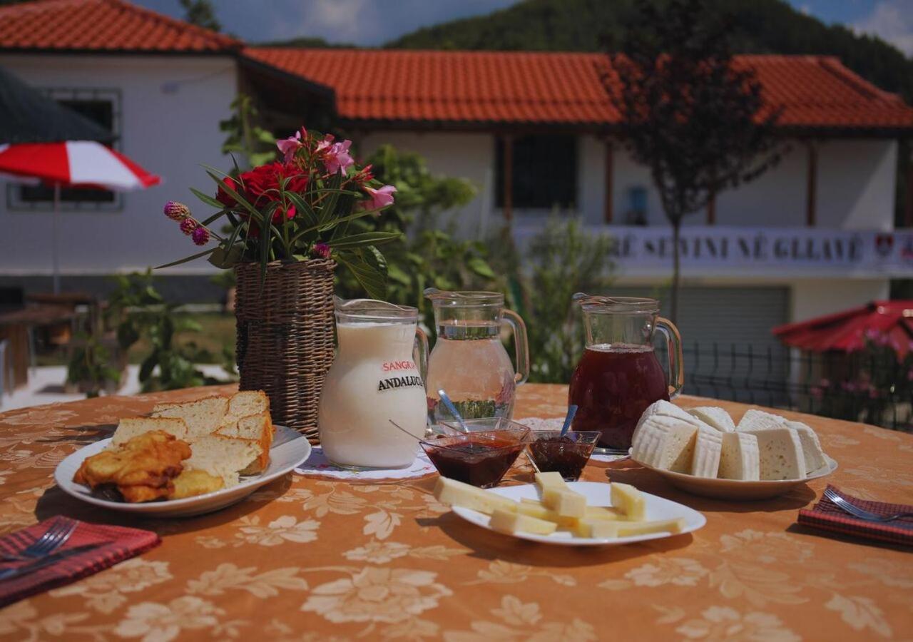 Guest house Sofia Gllava - *